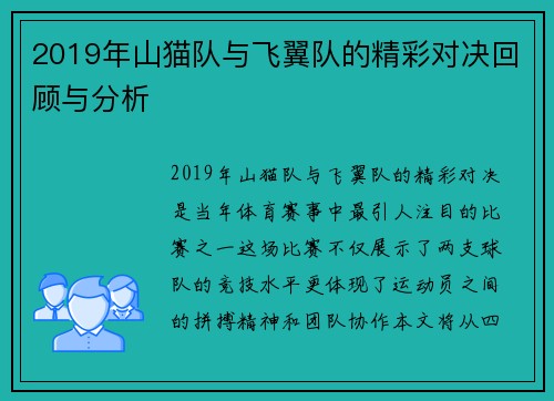 2019年山猫队与飞翼队的精彩对决回顾与分析