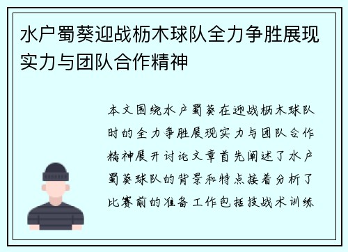 水户蜀葵迎战枥木球队全力争胜展现实力与团队合作精神