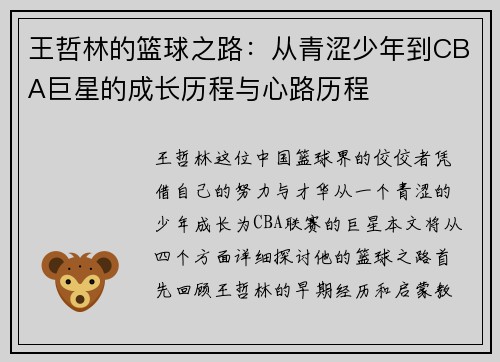 王哲林的篮球之路：从青涩少年到CBA巨星的成长历程与心路历程